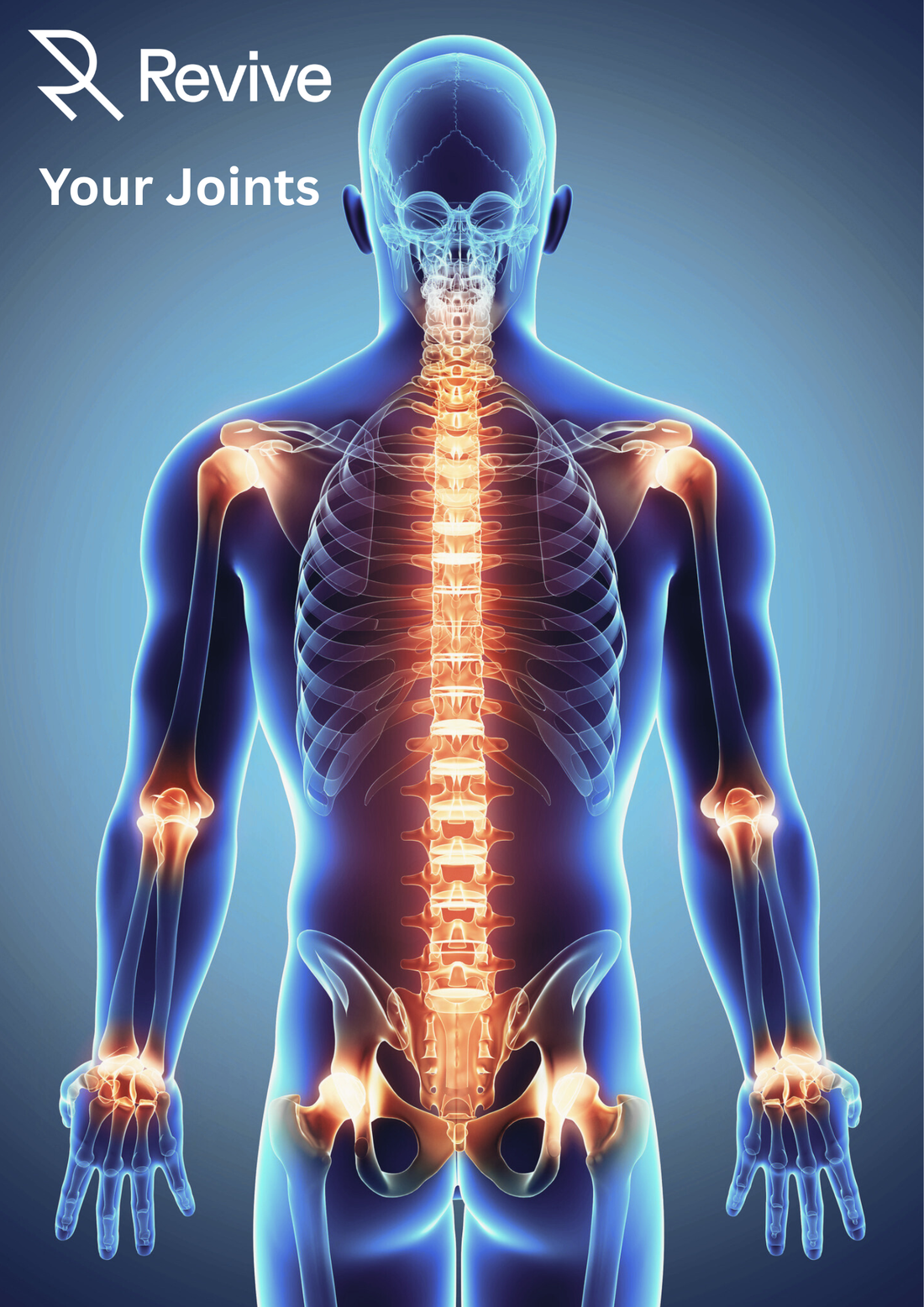 Human body graphic showing inflamed joints and spine, representing chronic inflammation and natural joint support solutions.