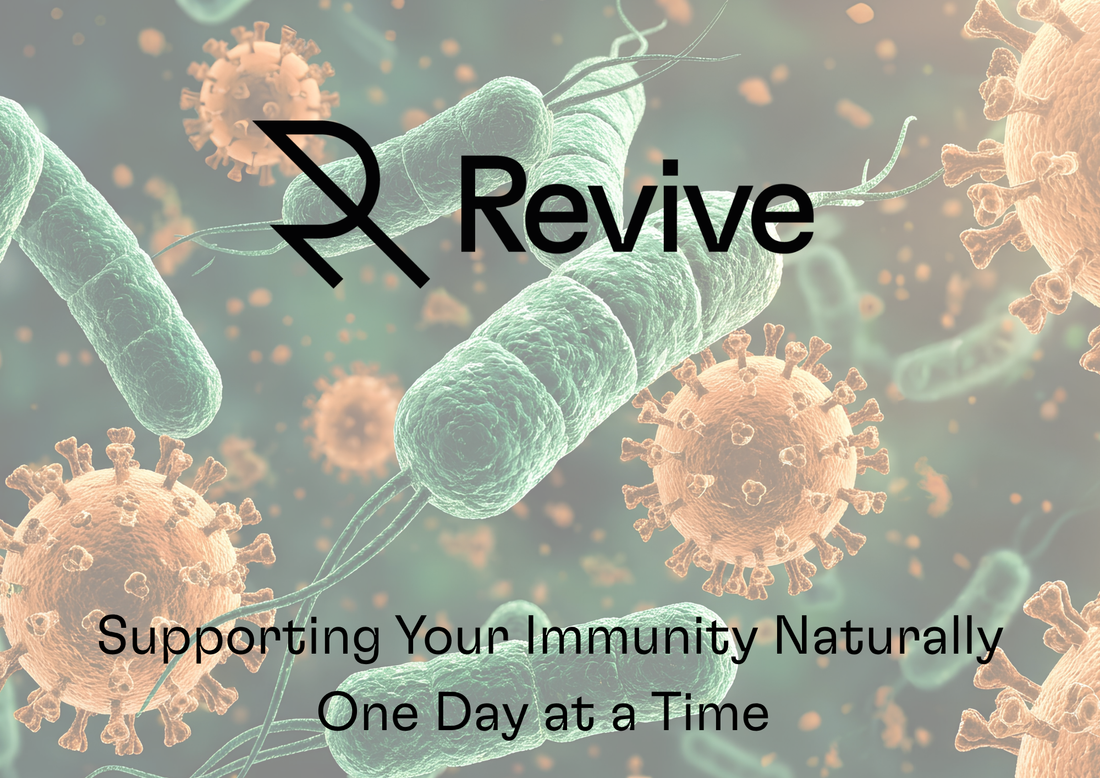 Turmeric & Ginger for Immune Support: It’s Not About Boosting